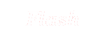 flash